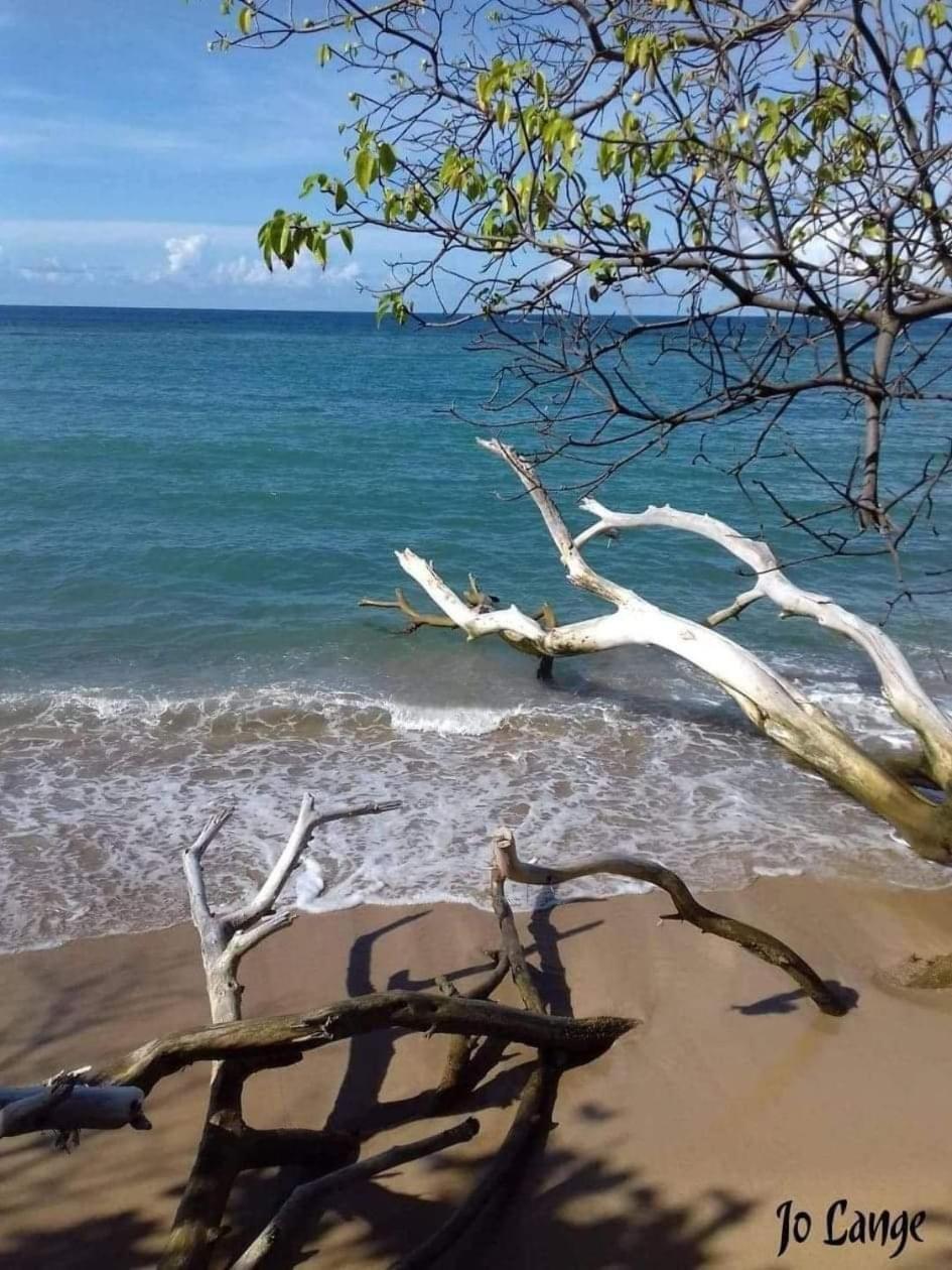 Meryem La Trinité Rum bild