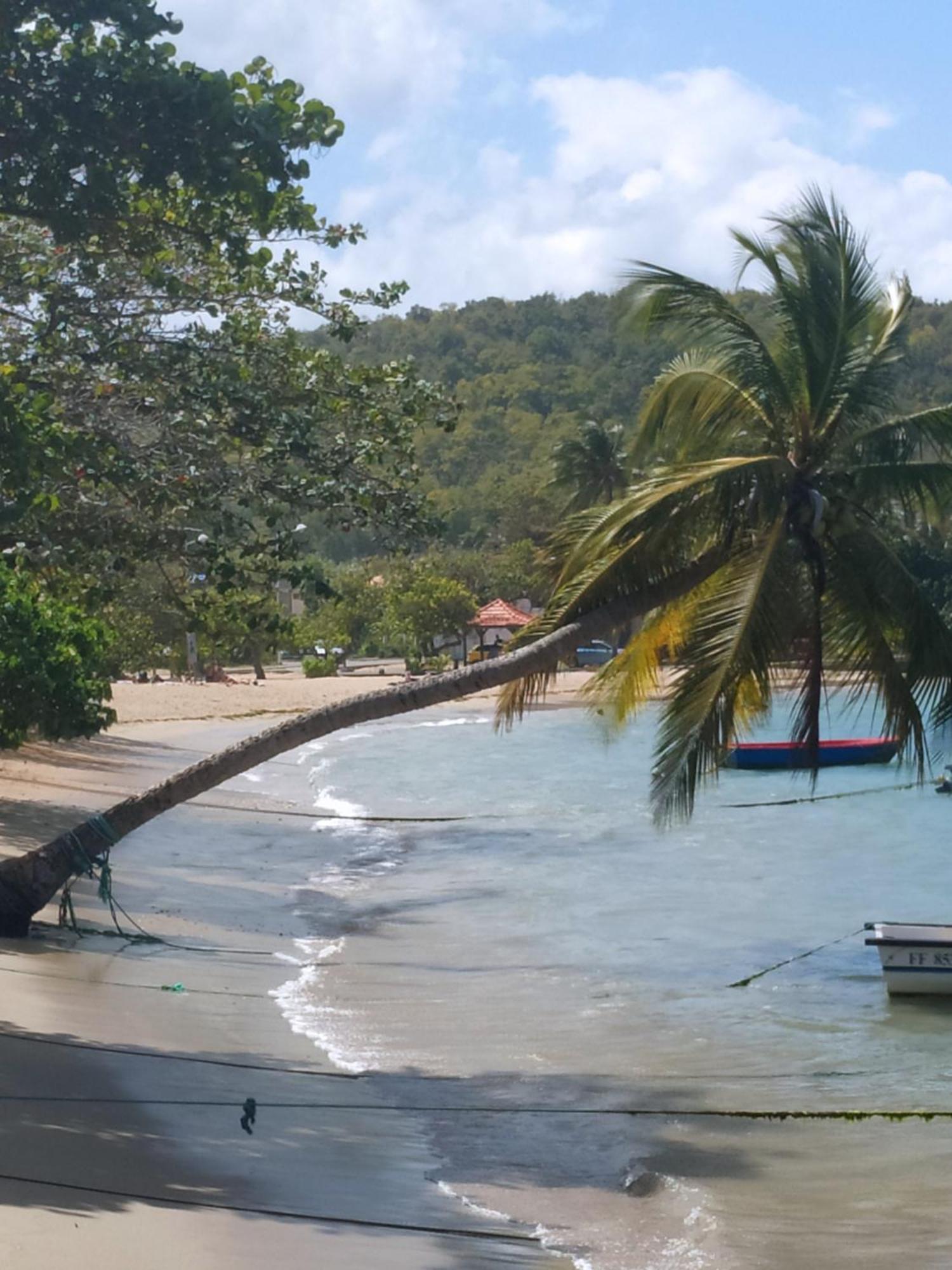 Meryem La Trinité Rum bild